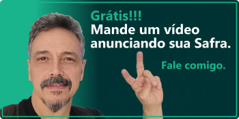 Apoio