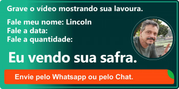 Apoio