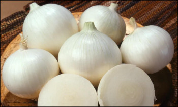 Cebola Sem Casca