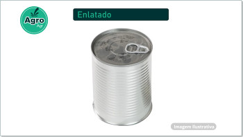 Sua Imagem