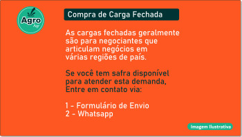 Cebola Branca